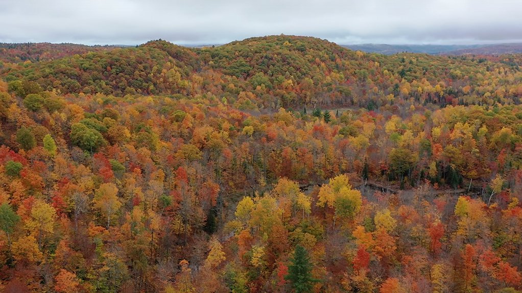 Chiefs Of Ontario Calls For One Year Moratorium On Mining Claims Staking