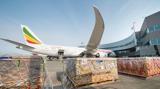 ethiopian airlines bassinet
