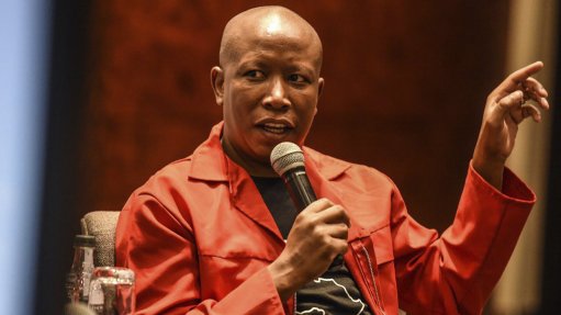 Julius Malema's firearm discharge case postponed - Vimarsana News