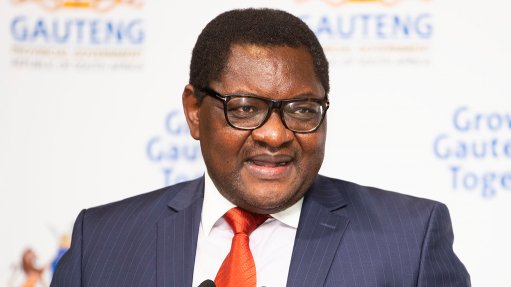 Makhura prioritised party over province, at the expense of service delivery