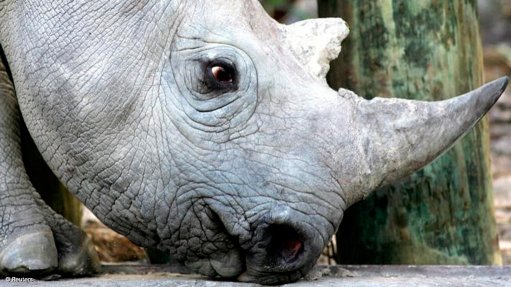 The High-level Panelof Experts For The Review Of Policies, Legislation And Practices On Matters Of Elephant, Lion, Leopard And Rhinoceros Management, Breeding, Hunting, Trade And Handling - Vimarsana News
