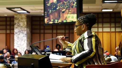 Speaker Modise calls for unity at the Pan African Parliament - Vimarsana News