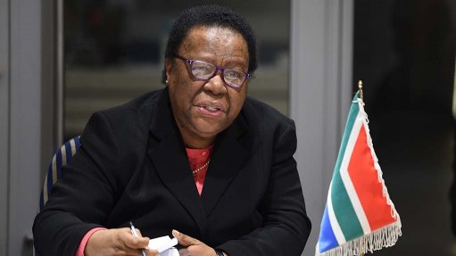 Naledi Pandor's advisor Zane Dangor appointed director-general of Dirco - Vimarsana News