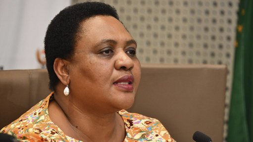 DA to engage Minister Didiza on alleged shortage of African Horse Sickness vaccine - Vimarsana News