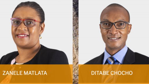 Renewable energy projects Merafe's 2022 focus, says CEO Zanele Matlala - Vimarsana News