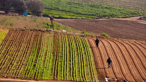 Agriculture sector continues to feel the pinch of war - Vimarsana News