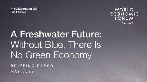 A Freshwater Future: Without Blue, There Is No Green Economy - Vimarsana News