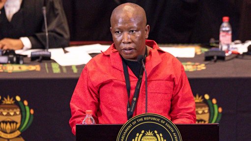 Ramaphosa can never feel 'his life is under threat because Julius is next to him' - Malema on SoNA chaos