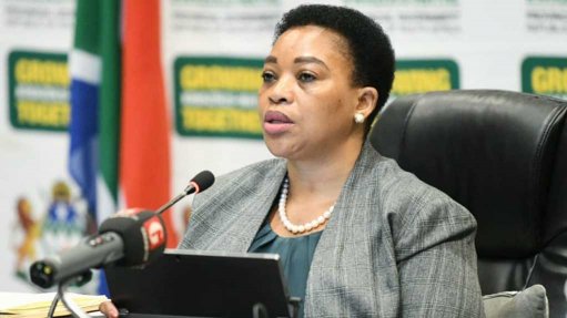 Opening remarks by KZN Premier Nomusa Dube-Ncube during the Provincial Lekgotla in Durban - Vimarsana News