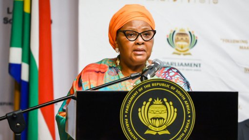 EFF's Vote of no confidence in Mapisa-Nqakula gets green light - but secret ballot not guaranteed - Vimarsana News