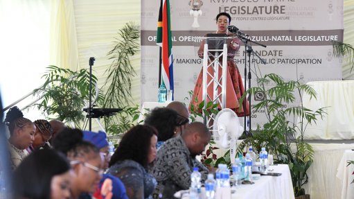 KZN to appoint panel of energy experts to address energy crisis - Vimarsana News