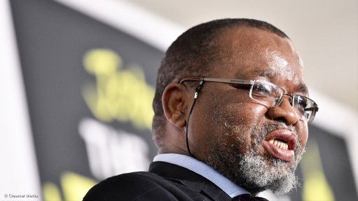Mantashe: Govt's plans to end loadshedding not about 'mobilising votes' - Vimarsana News