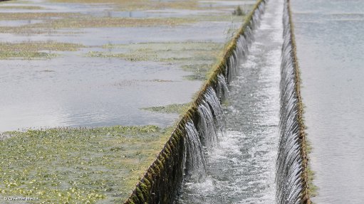 South Africa urged to consider greater reuse of water resources - Vimarsana News