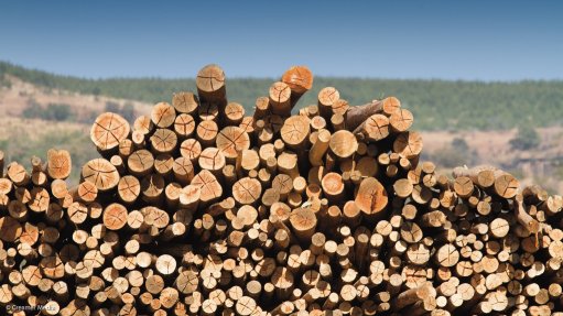Sappi posts lower profit on the back of sluggish paper demand - Vimarsana News