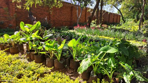 Sustainability initiatives bearing fruit at Emira's Wonderpark centre - Vimarsana News