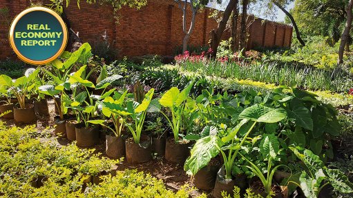 Wonderpark sustainability initiatives bearing fruit - Vimarsana News