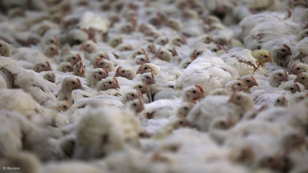 AMIE welcomes resolved ban on chicken imports from Brazil