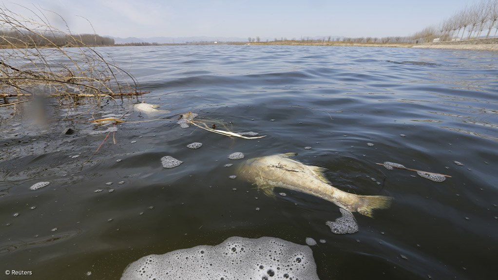 Wits launches research centre to tackle South Africa’s water challenges