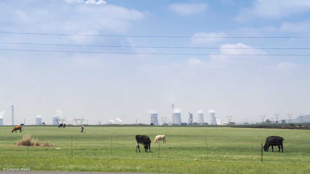 Steenhuisen announces country’s first-ever ten-year FMD elimination strategy