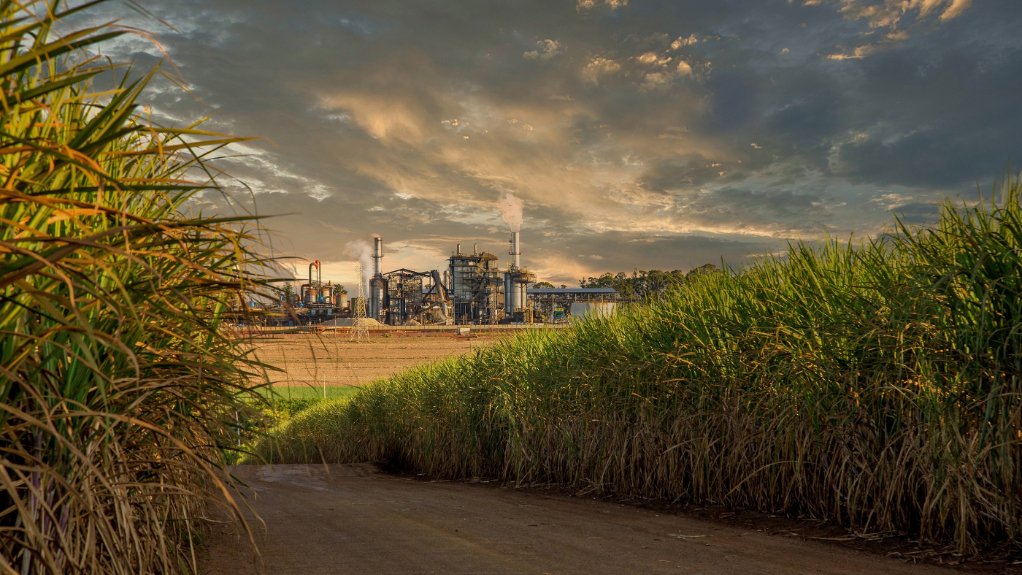 Itac to assess proper level of dollar-based reference price for sugar amid competing pleas from industry