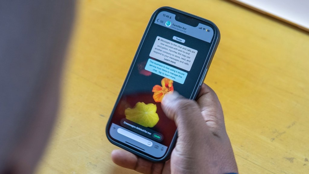 AI solution boosts farming capacity, market access