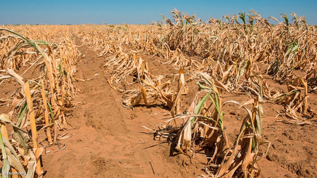 South African farms face El Niño drought risk on top of Iran war