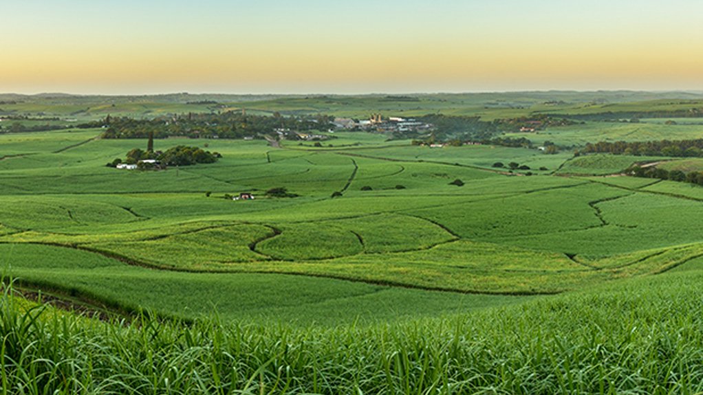 Grower-led group seeks to keep Tongaat Hulett a going concern