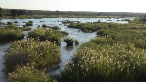 Water Research Commission suspends CEO, appoints interim replacement