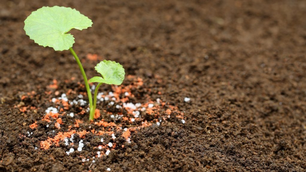 AfDB launches up to $5.1bn plan for African countries facing energy, fertiliser shocks