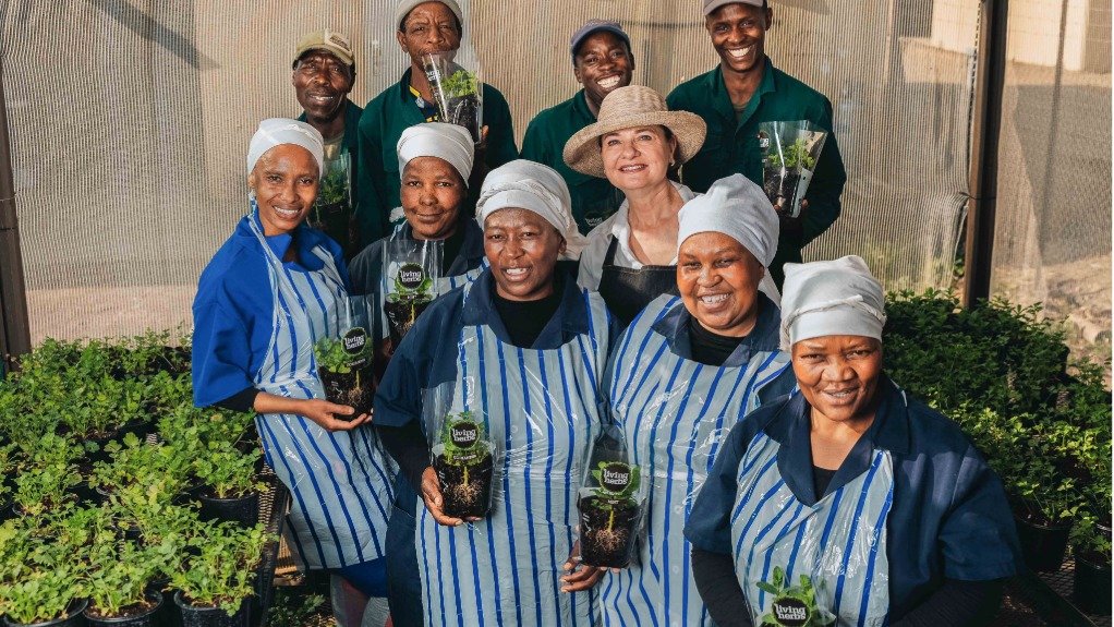 State of the SMME 2026 report finds small businesses are surviving, but struggling to scale