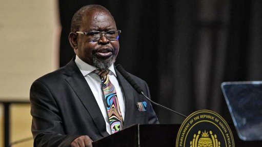 BofA, BNP see South Africa rating upgrade after budget