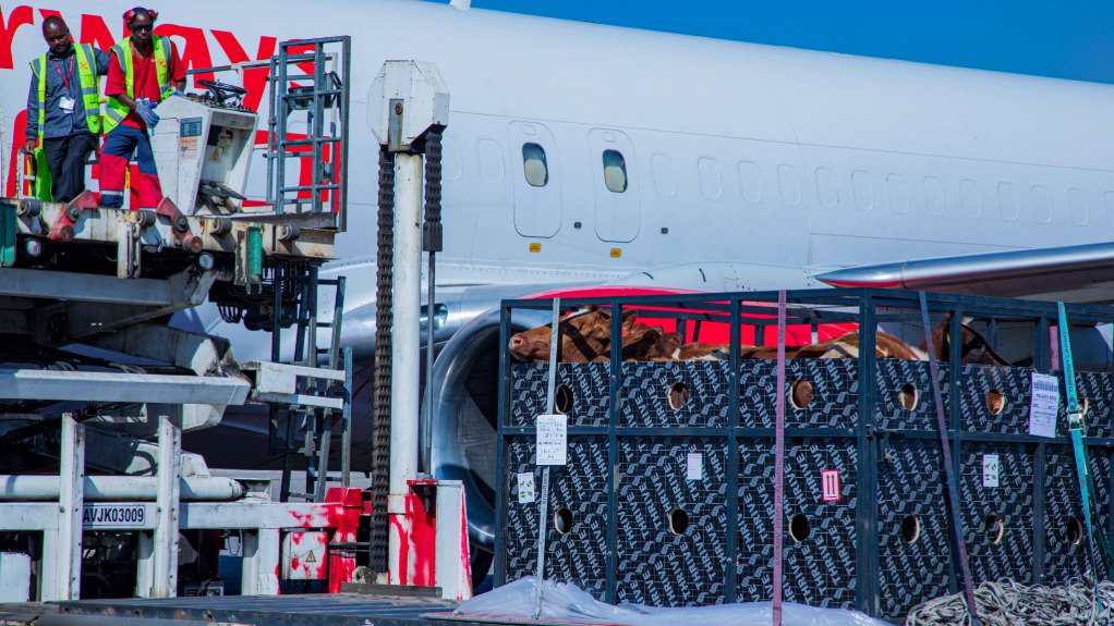 Kenya Airways enters new era with transport of live cattle from Nairobi to Lagos