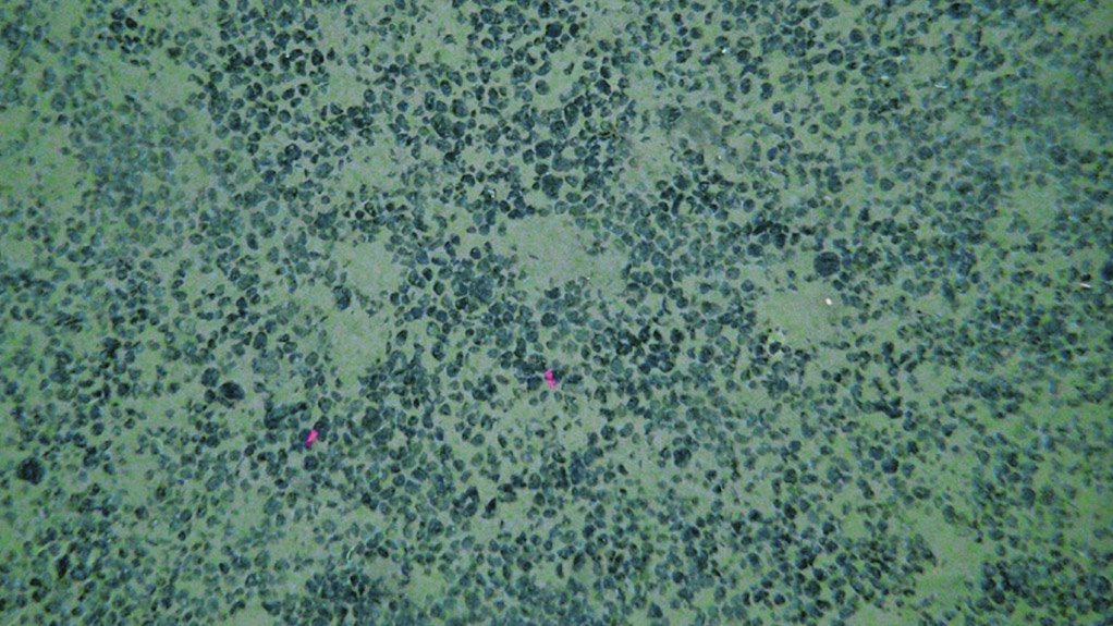 Deep Sea Minerals appoints new CFO, announces intension to list in US